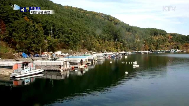 제철 맞은 마산홍합…항, 포구 북적