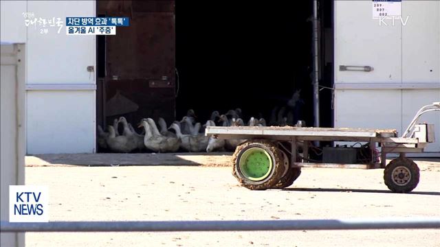 차단 방역 효과 '톡톡'…올겨울 AI '주춤'