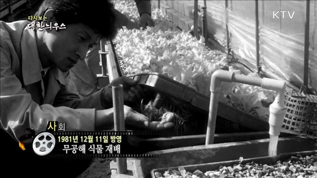 다시보는 대한늬우스 (81.12.11)