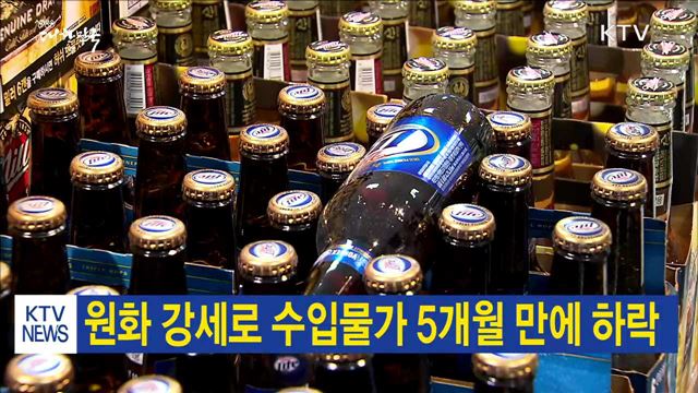 원화 강세로 수입물가 5개월 만에 하락