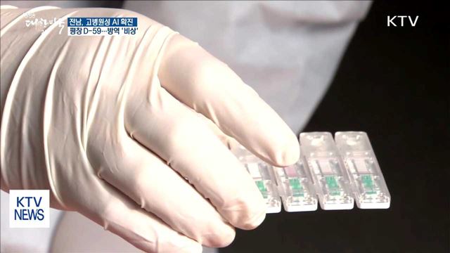 전남 씨오리 농장 고병원성 AI 확진…방역 '비상'