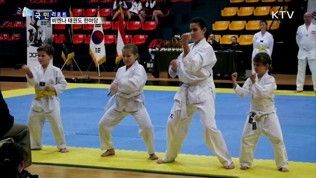 비엔나 태권도 축제…한국 문화 알려요