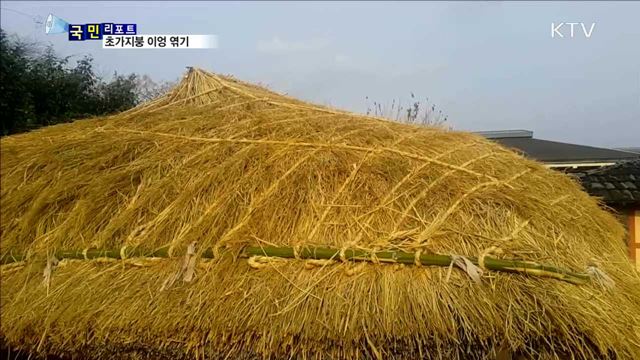 정겨운 '초가 지붕 이엉 엮기' 눈길