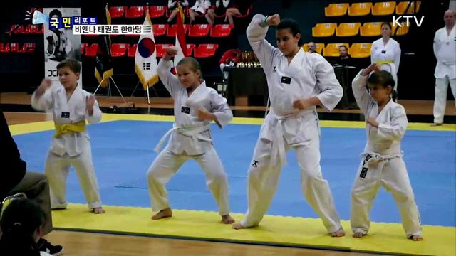 비엔나 태권도 축제…한국 문화 알려요