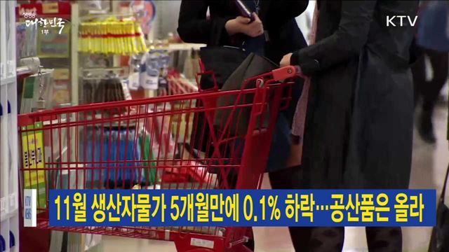11월 생산자물가 5개월만에 0.1% 하락…공산품은 올라