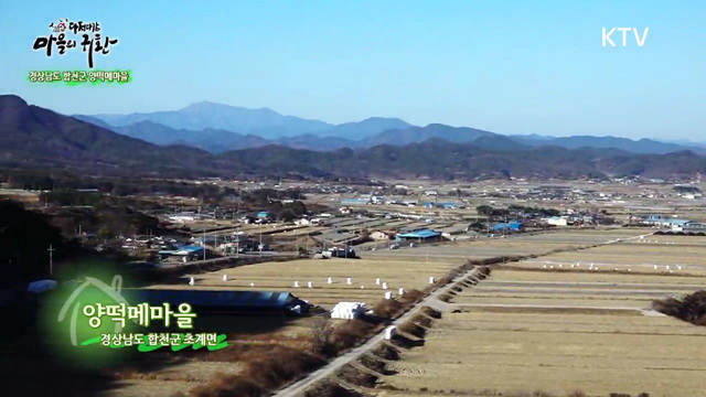 16회 하이라이트 - 농한기 없는 마을 양떡메마을을 아십니까?