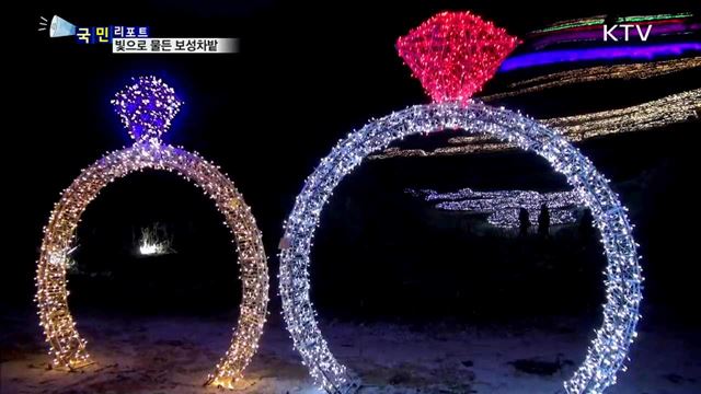 겨울밤 수놓은 보성차밭 빛 축제