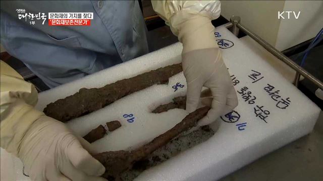문화재의 가치를 찾다 '문화재보존전문가' [사람中心 일자리가 뜬다]