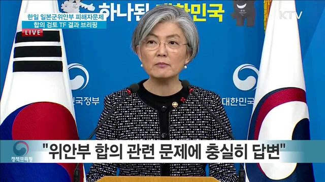 한일 일본군위안부 피해자 문제 합의 검토 TF 결과 브리핑