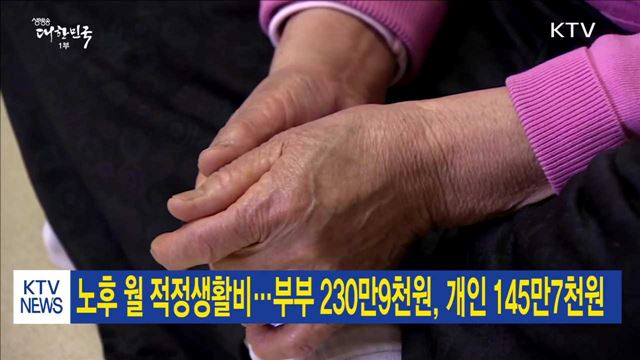 노후 월 적정생활비…부부 230만9천원, 개인 145만7천원