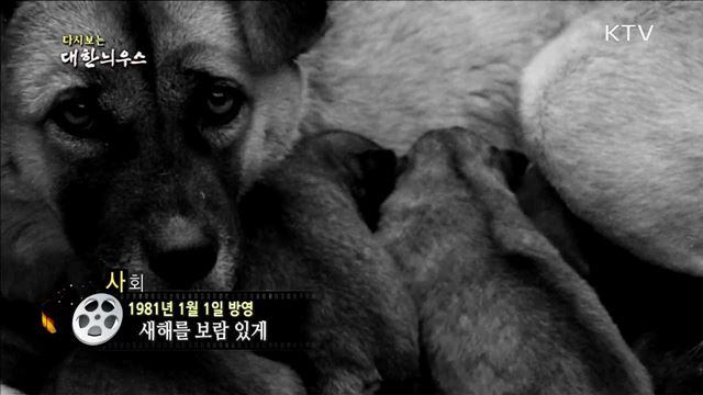 다시보는 대한늬우스 (81.01.01)