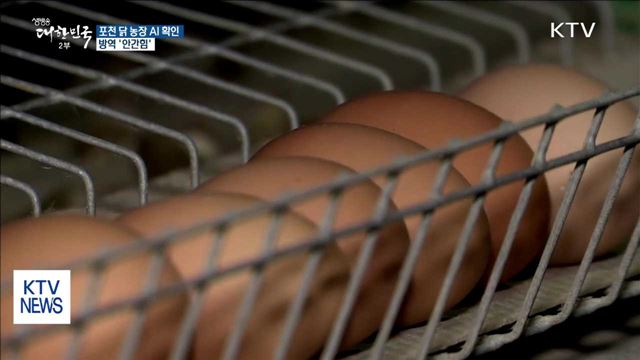 경기 포천 산란계 농장 고병원성 AI 확인…방역 '안간힘' 