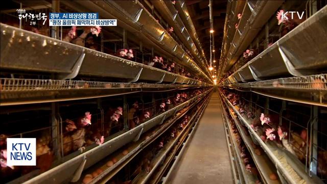 포천서 AI 발생…평창올림픽 폐막까지 비상방역 