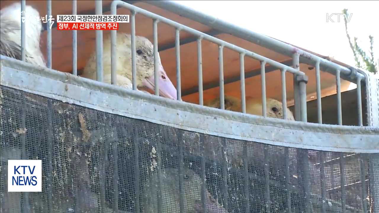 정부, 청정 올림픽 위해 선제적 AI 차단방역