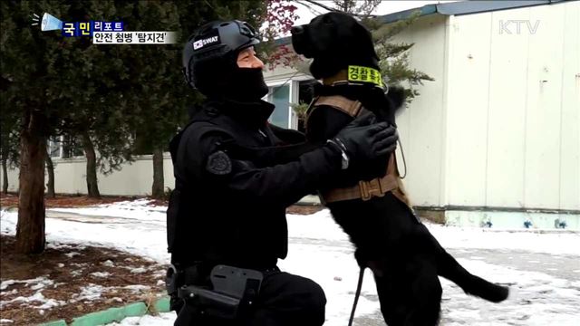 2018 무술년…안전 첨병 '탐지견' 맹활약 기대