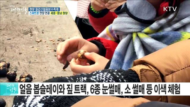 겨울왕국으로의 초대···청양 칠갑산얼음분수축제