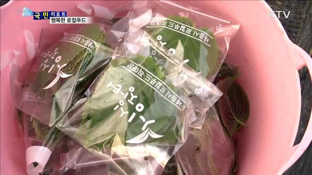 도시와 농촌이 행복한 로컬푸드 운동 '활발'