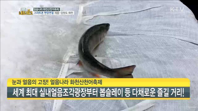 스마트 네트워크 (71회)