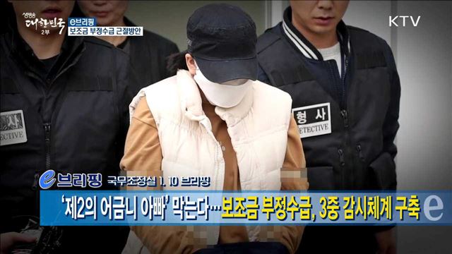 보조금 부정수급 근절방안 [e 브리핑]