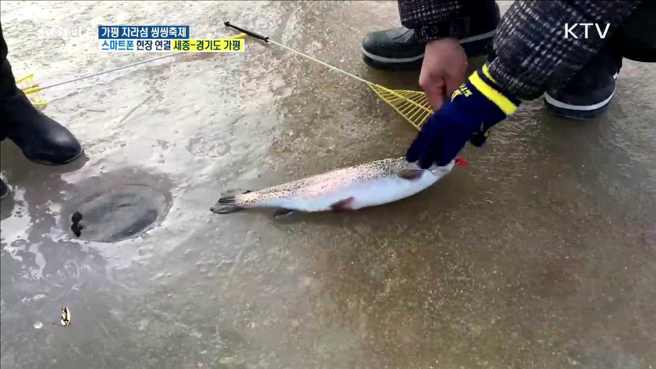 대한민국 3대 관광휴양도시···가평 자라섬 씽씽축제