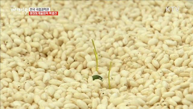 전국 국립과학관 평창동계올림픽 특별전 [이제는 평창입니다]