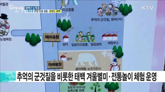 순백의 눈꽃 여행지! 태백산 눈축제