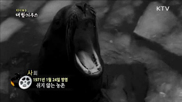 다시보는 대한늬우스 (71.01.24)