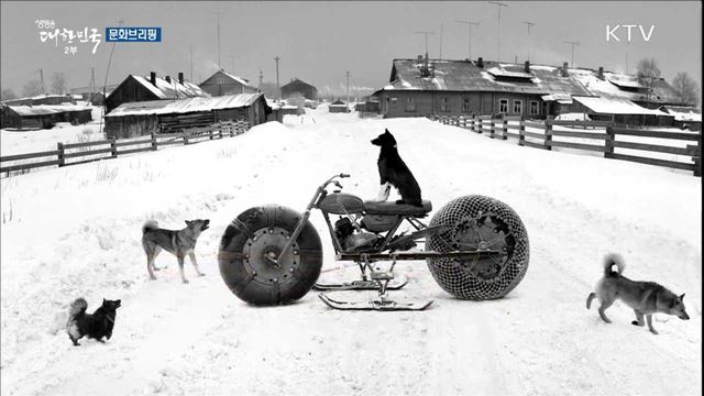 설국으로 떠나는 여행···한국관광공사 추천 '1월 걷기길' [문화 브리핑]