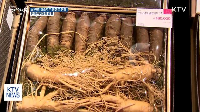 설 연휴 고속도로 통행료 면제…민생 대책 발표