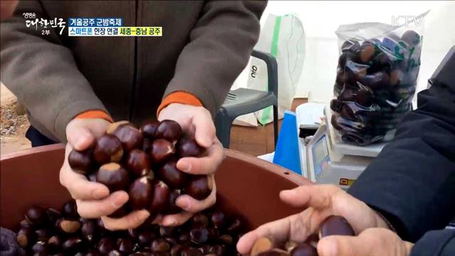 불타는 밤, 뜨거운 공주! 겨울공주 군밤축제