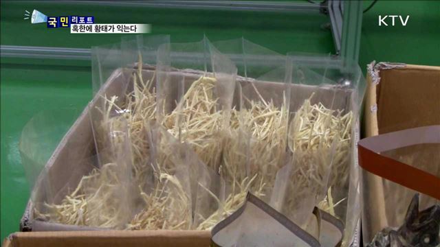 평창 동계올림픽 특선 음식…황태가 익어간다 