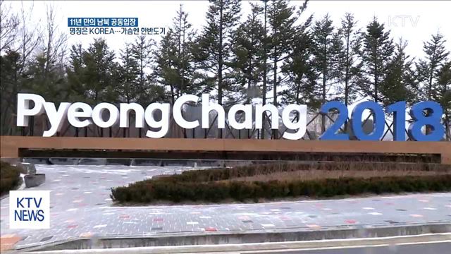 11년 만의 공동입장… 기수는 남남북녀