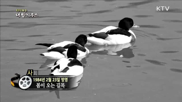 다시보는 대한늬우스 (84.02.23)