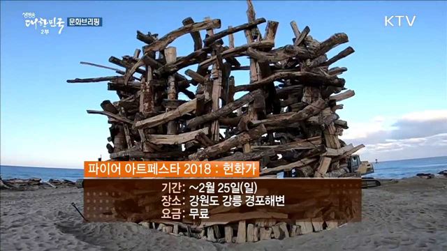 겨울밤 환상적인 숲 속의 미디어아트쇼 '청산별곡' [문화 브리핑]