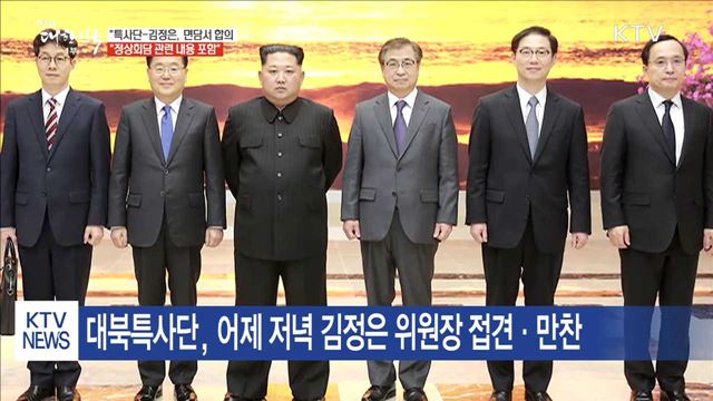 靑 "특사단-김정은, 면담서 합의…정상회담 포함"