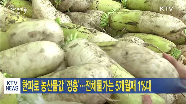 한파로 농산물값 '껑충'…전체물가는 5개월째 1%대