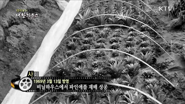 다시보는 대한늬우스 (69.03.13)