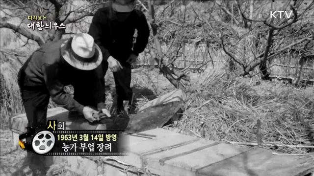 다시보는 대한늬우스 (63.03.14)