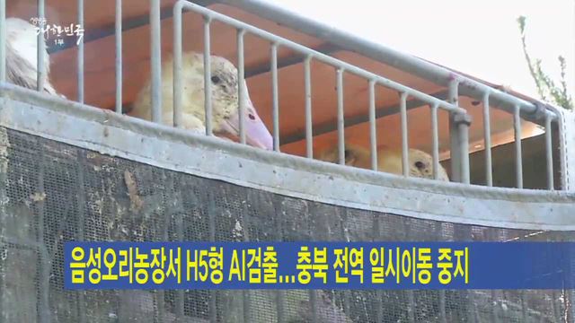 음성 오리농장서 H5형 AI 검출…충북 전역 일시이동중