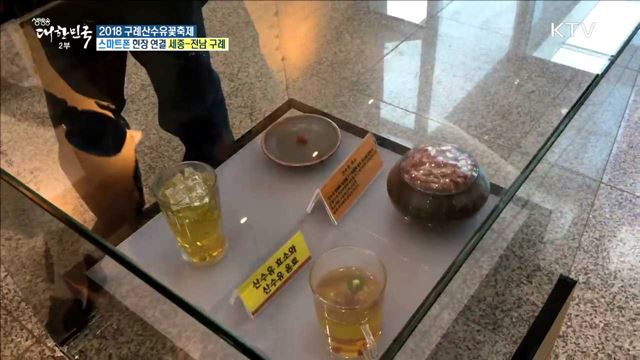 봄의 전령사! 2018 구례산수유꽃축제