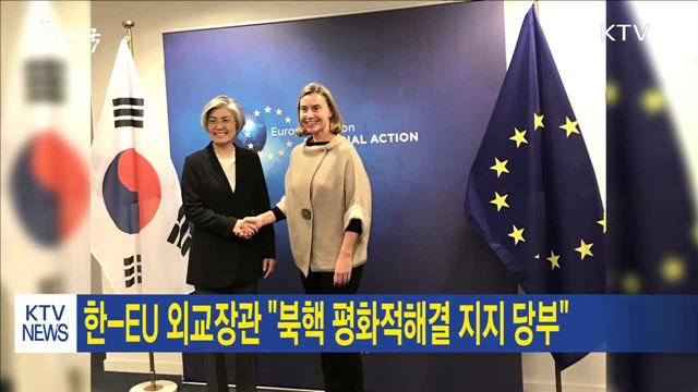한-EU 외교장관 "북핵 평화적해결 지지 당부"