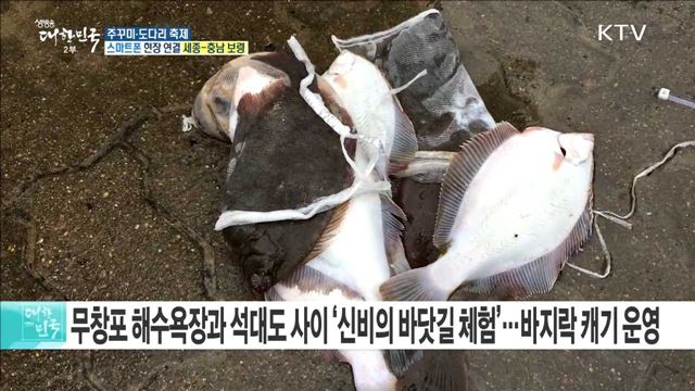 초봄의 별미, 무창포 신비의 바닷길 '주꾸미·도다리 축제'