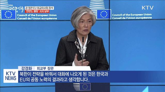 강경화 장관, EU에 '한반도 평화'지지 당부