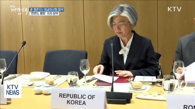 강경화 장관, EU에 '한반도 평화' 지지 당부