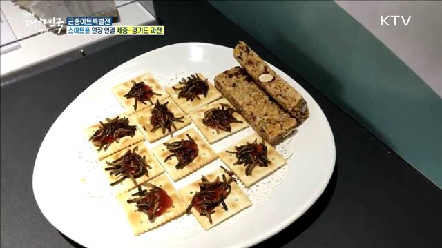 국립과천과학관 곤충생태관 새단장! '곤충아트특별전'