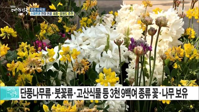 한국관광공사 추천, 봄 여행 명소 '춘천 수목원'