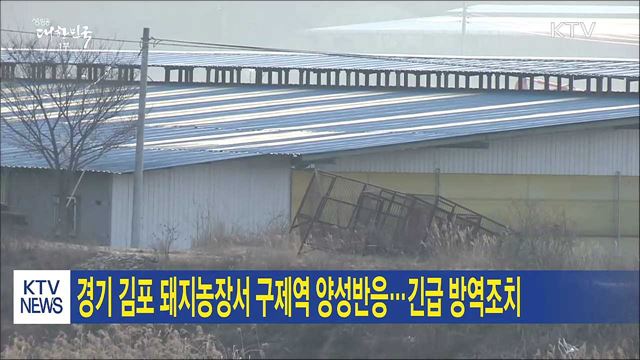 경기 김포 돼지농장서 구제역 양성반응…긴급 방역조치