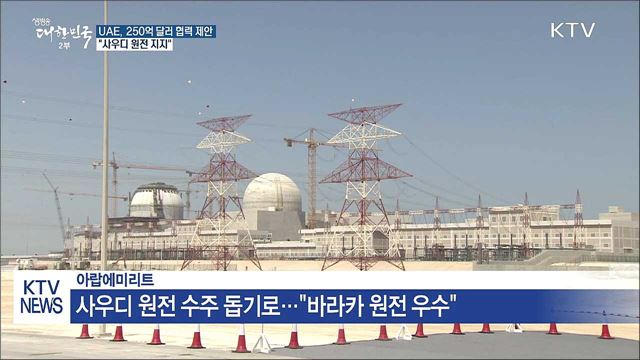 UAE, 250억 달러 협력 제안…"사우디 원전 지지"