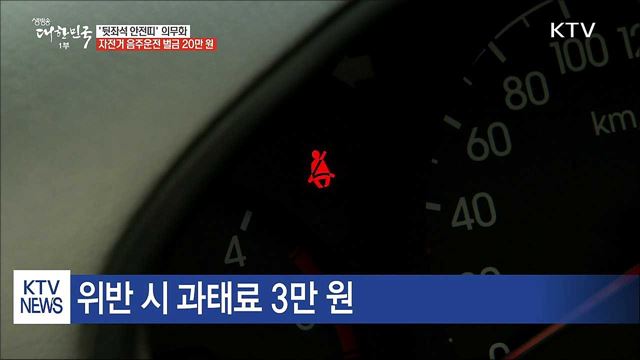 9월부터 '전 좌석' 안전띠 착용 의무화