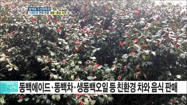 따뜻한 봄, 쉬어가세요! 동백꽃 수선화축제